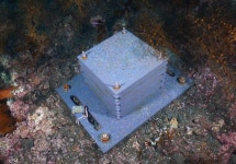 [보고서]해양환경변화가 울릉도·독도 해역에 미치는 영향 및 대응 방안 연구