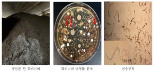 [보고서]맞춤형 미생물 종균제에 의한 유기성 폐기물 퇴비화 효율 증진 효과검증