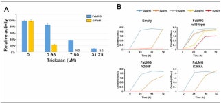 [보고서]농작물 병원성을 유발하는 식물병원균 이펙터들의 기능 규명