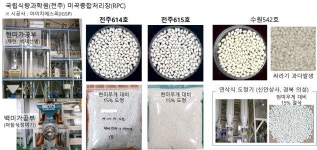[보고서]건식 쌀가루 전용품종 육성 및 육종소재 다양화 연구