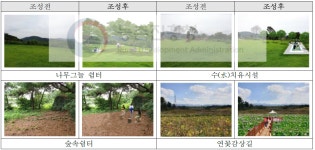 [보고서]농촌자원의 치유관광 활용기술 개발 및 현장적용 연구