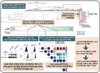 [보고서]EML4-ALK 비소세포성폐암의 면역관문억제제 효능증대를 위한 종양 내 T림프구의 대사기전연구