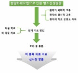 [보고서]암화학요법 유발 말초신경병증 치료용 다면적 상온상압 플라즈마 치료기 개발