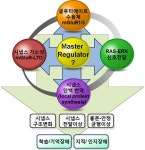 [보고서]타이로신 탈인산화 효소에 의한 대사성 글루타메이트 수용체 기능 조절