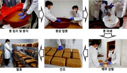 [보고서]복합종균 기반 차세대 전통 발효장류 개발