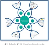 한국구조공학아이티연구소주 | [보고서]바이오 산업구조 고도화와 생태계 선순환을 위한 한국생명공학연구원의 역할과 전략에 관한 연구