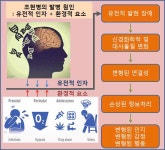 [보고서]환청 표적 제거를 통한 조현병의 증상 치료 연구