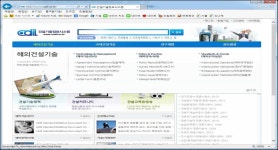 [보고서]해외 거점별 건설엔지니어링 정보시스템 개발