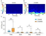 [보고서]영장류 연구 인프라 고도화 및 산·학·연 지원 사업