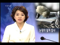 헤드라인 