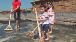[정보충전] 수영장 옆에 염전과 텃밭…색다른 물놀이장 > 뉴스 12... 뉴스 | KBSNEWS [정보충전] 수영장 옆에 염전과 텃밭…색다른 물놀이장