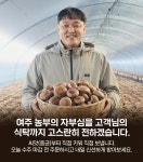 농협몰(NH싱씽몰) [경기여주]] 표고버섯 1kg 500g 무농약 참나무표고버섯농장
