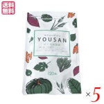 めぐみの葉酸 120粒 葉酸 サプリ 鉄分 5袋セット：健康ショップ！メガヘルスSALE，限定SALE