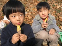 학교소식<학교소식<알림마당<전라북도임실교육지원청 전라북도임실교육지원청