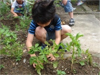 학교소식<학교소식<알림마당<전라북도임실교육지원청 전라북도임실교육지원청