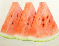 여름 맛 그림과 함께라면 무더운 공기마저 시원하게! - 오픈갤러리