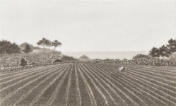 신미정 | 여행산수_제주 우도03 :: 오픈갤러리
