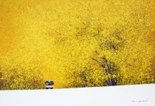 고재군 | 그리운 날에254 :: 오픈갤러리