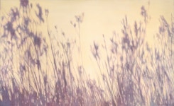 최윤정 | illusion16 :: 오픈갤러리