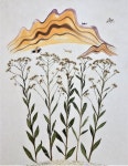 이충열 | 수렵도 :: 오픈갤러리