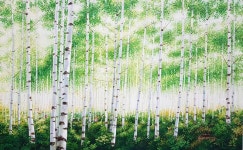 곽미영 | 숲-햇살 좋은 날 :: 오픈갤러리