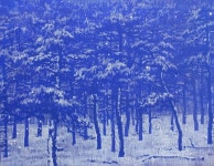 춘봉박 | 雪中松林(설중송림)- N 2407 :: 오픈갤러리