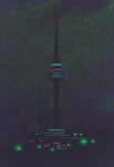 김봉환 | N Seoul Tower(Green) :: 오픈갤러리
