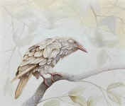 이병환 | ALBINISM(알비니즘)-白烏(백오) Ⅱ :: 오픈갤러리