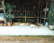 석지수 | gaze :: 오픈갤러리