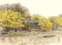 김복만 | 이천 산수유 마을 :: 오픈갤러리