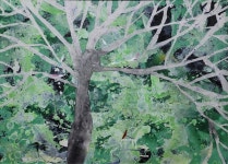 허은주 | 꿈꾸는 나무 :: 오픈갤러리