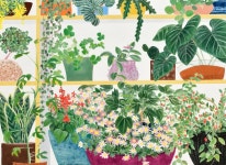 윤선홍 | 인연 :: 오픈갤러리