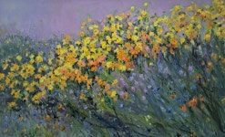 김선영 | 만개(청녹원 금계국) :: 오픈갤러리 김선영 | 만개(청녹원  금계국) :: 오픈갤러리