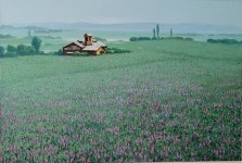 미키엘라 | 다시 가고픈 추억의농장 :: 오픈갤러리