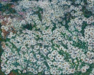 이현희 | 하얗게 피어나다 :: 오픈갤러리