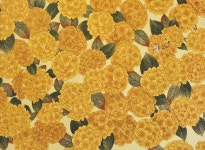 김다은 | Comma_2504 :: 오픈갤러리