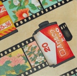김다은 | Analog_61 :: 오픈갤러리