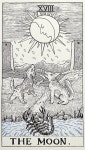 후안리킴 | 타로카드 아이시리즈(THE MOON) :: 오픈갤러리