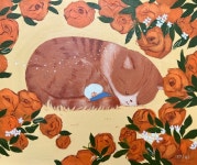 쪼야 | 포근하고 따뜻한 기억 :: 오픈갤러리