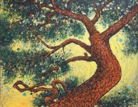 한인수 | 금송 :: 오픈갤러리