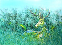 이기우 | 숲의정량 :: 오픈갤러리