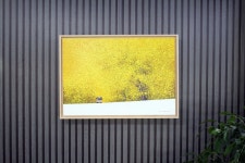 고재군 | 그리운 날에254 :: 오픈갤러리