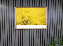 고재군 | 그리운 날에258 :: 오픈갤러리