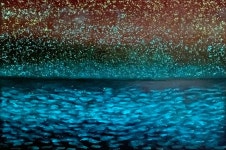 복진아 | temporal boundaries 52 :: 오픈갤러리