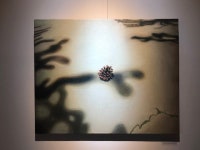 석지수 | gaze :: 오픈갤러리