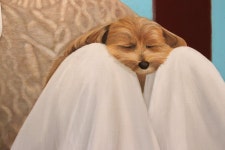 최고은 | My regards No.23 (나의 안부 23) :: 오픈갤러리