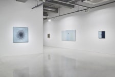 김지원 | 공존의 다양성 :: 오픈갤러리