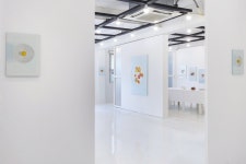 A Plate : 나와 다른 당신에게 건네는 전시 정보 :: 오픈갤러리 A Plate : 나와 다른 당신에게 건네는