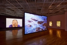 제인 진 카이젠: 이별의 공동체 전시 정보 :: 오픈갤러리 제인 진 카이젠: 이별의 공동체