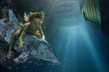 제나 할러웨이 사진전 전시 정보 :: 오픈갤러리 제나 할러웨이 사진전